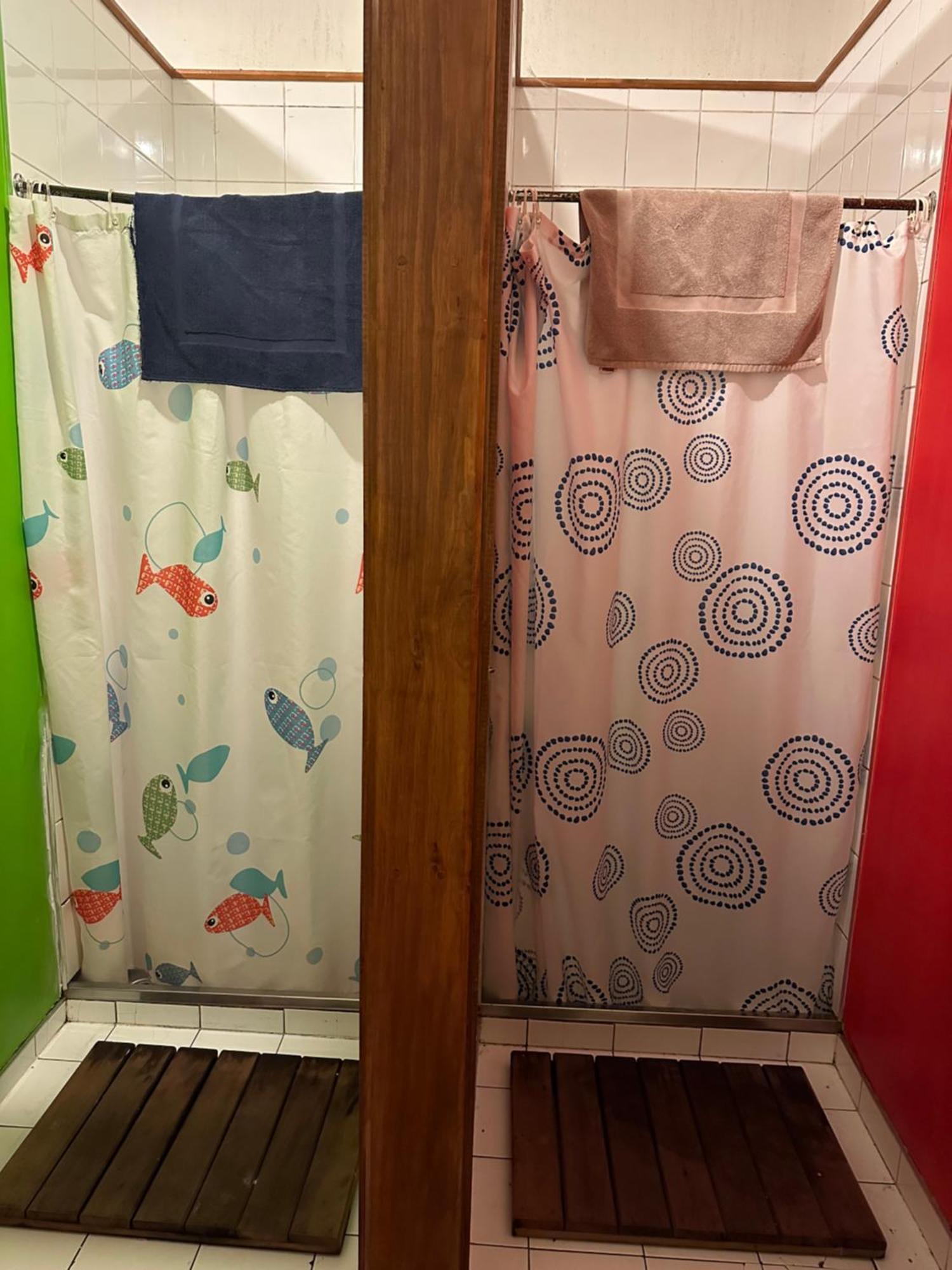 הוסטל דנידין Manor House Backpackers מראה חיצוני תמונה