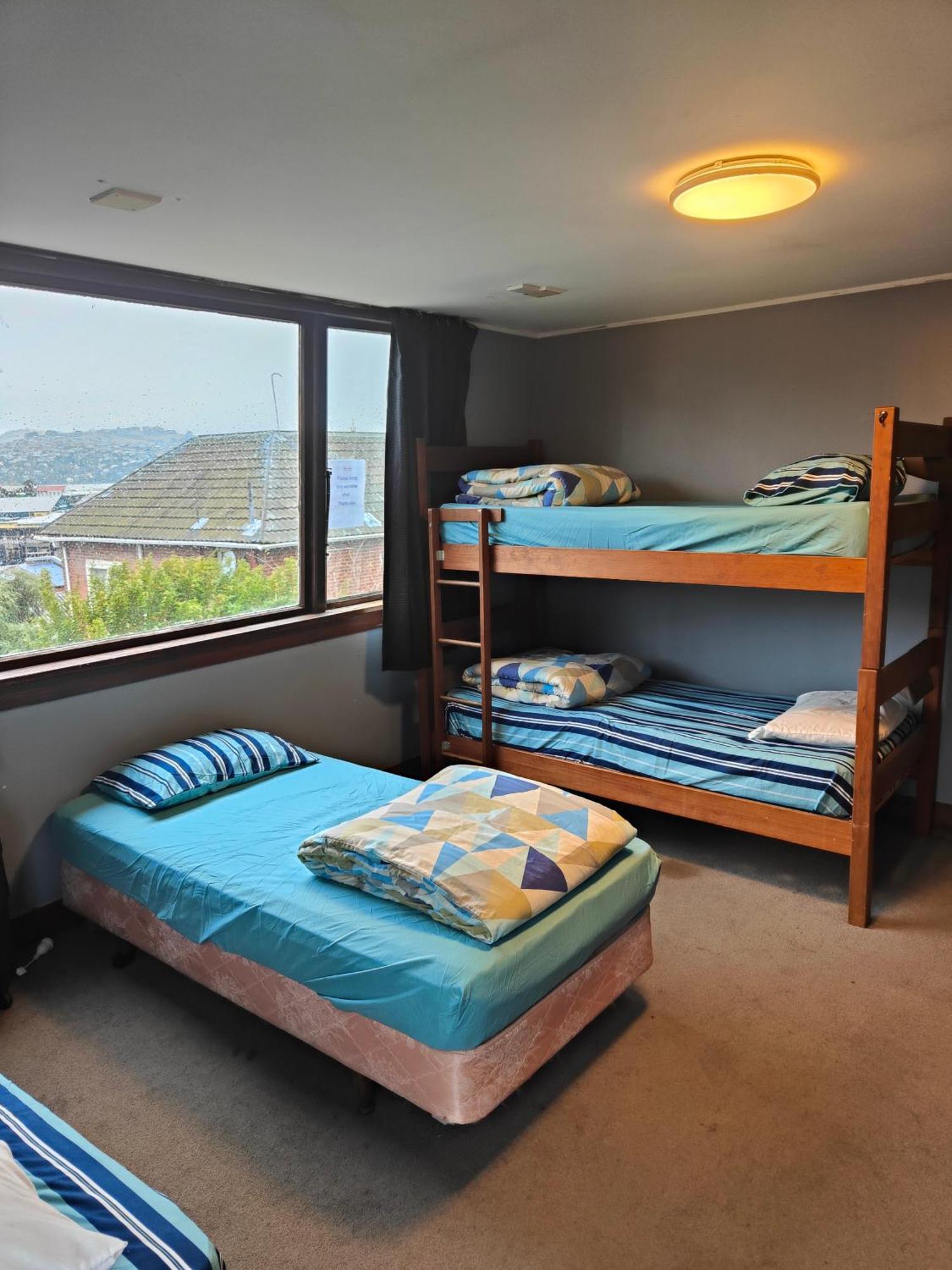 הוסטל דנידין Manor House Backpackers מראה חיצוני תמונה