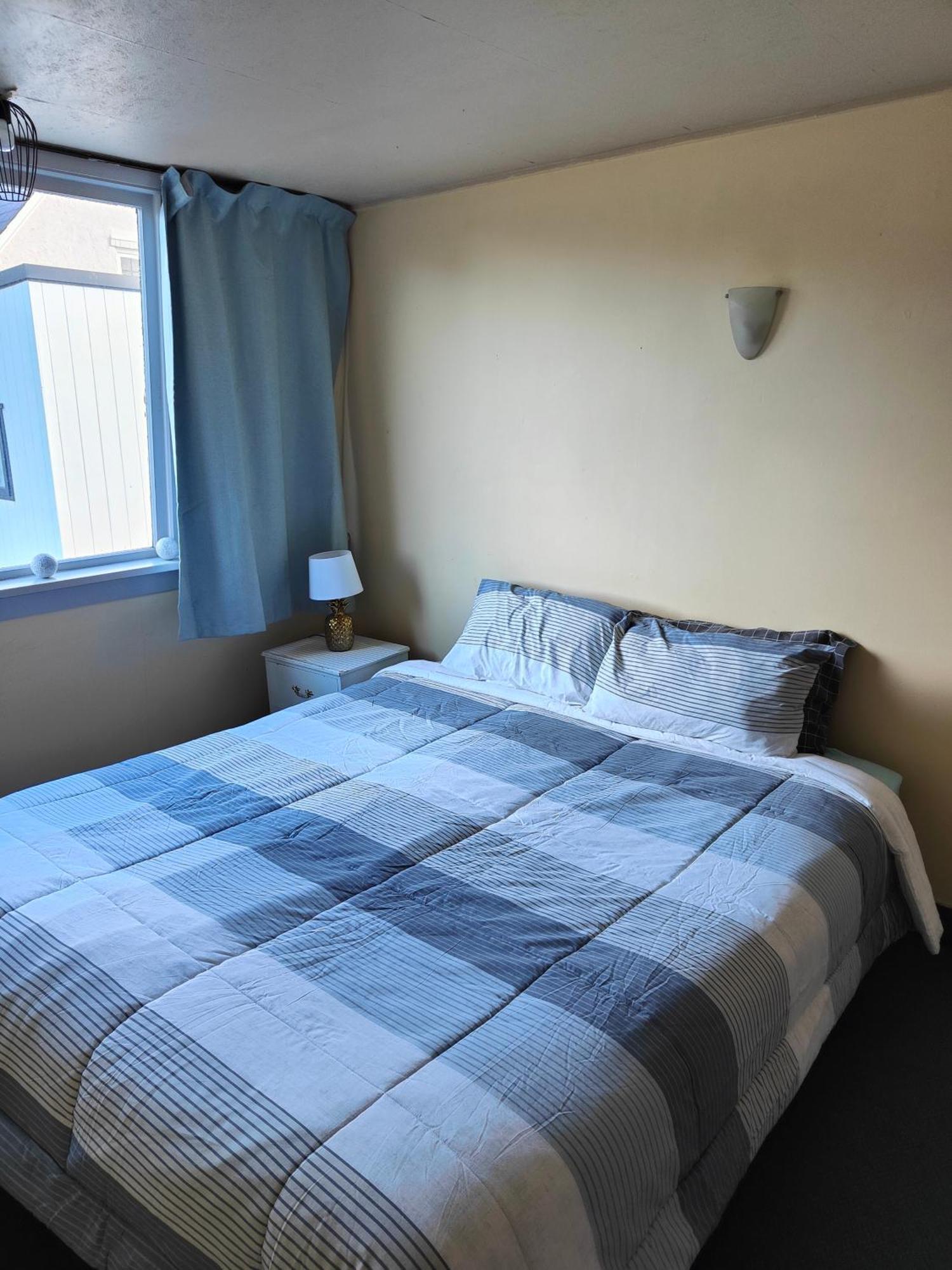 הוסטל דנידין Manor House Backpackers מראה חיצוני תמונה