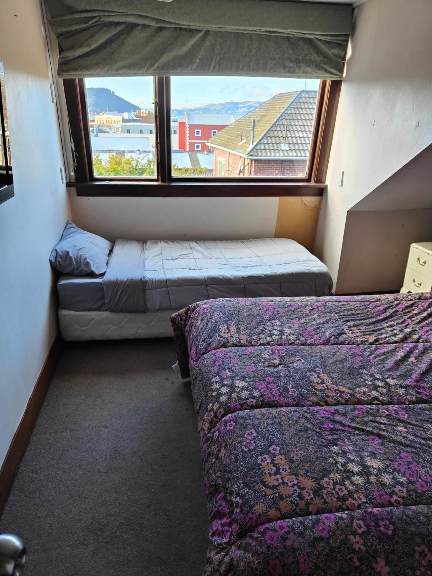 הוסטל דנידין Manor House Backpackers מראה חיצוני תמונה